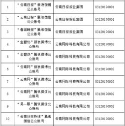 云南信息報旗下六產品獲首批互聯網新聞信息服務許可，賦能區域信息服務新格局