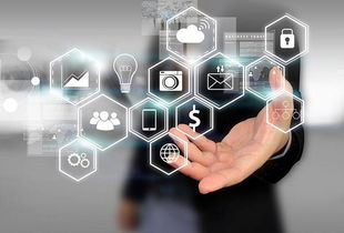 所志國軟文寫作案例 不靠廣告靠口碑，誠信服務成就電子商務新典范